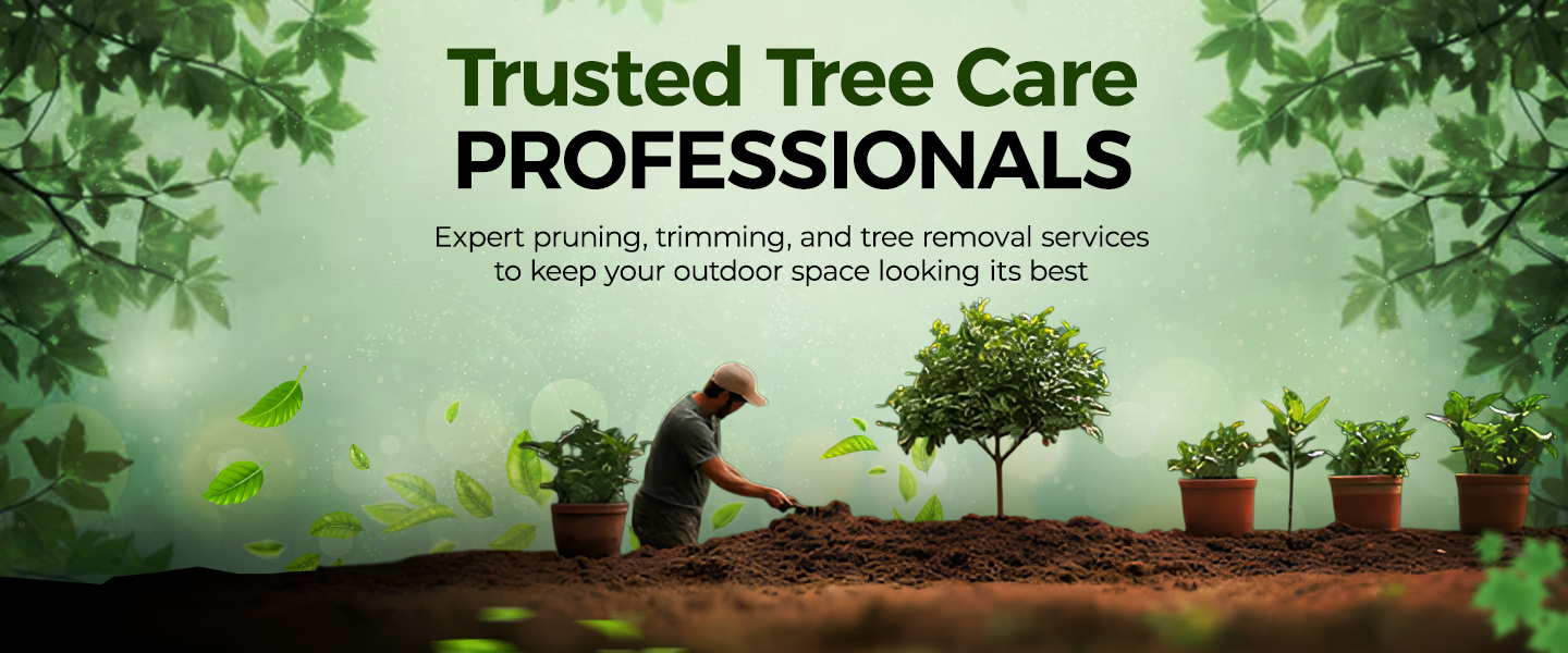 Gideon Tree Services