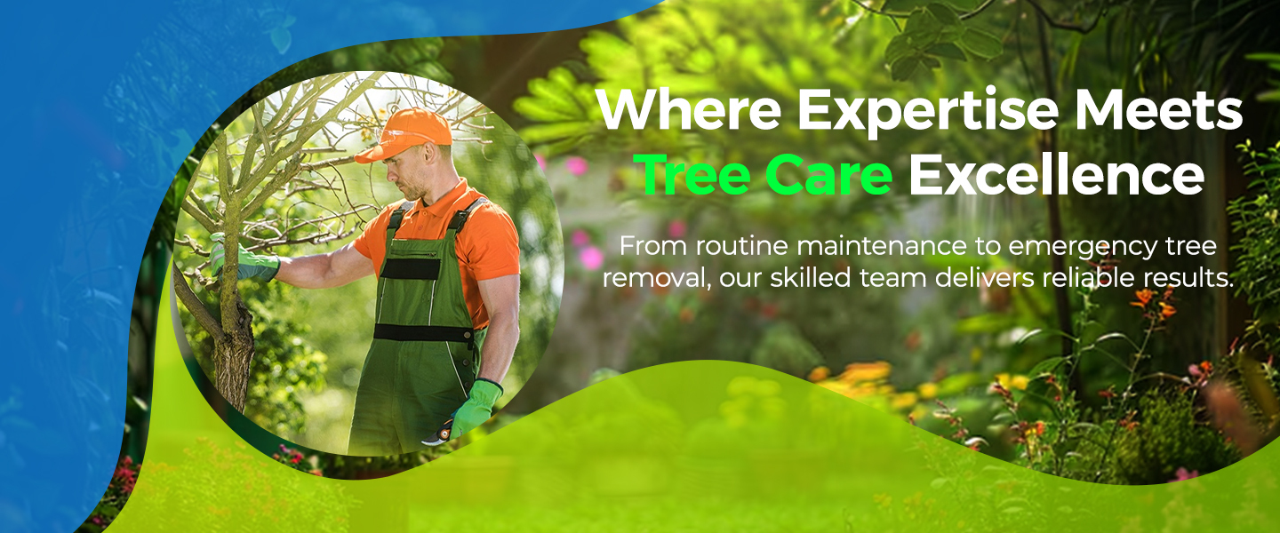 Gideon Tree Services